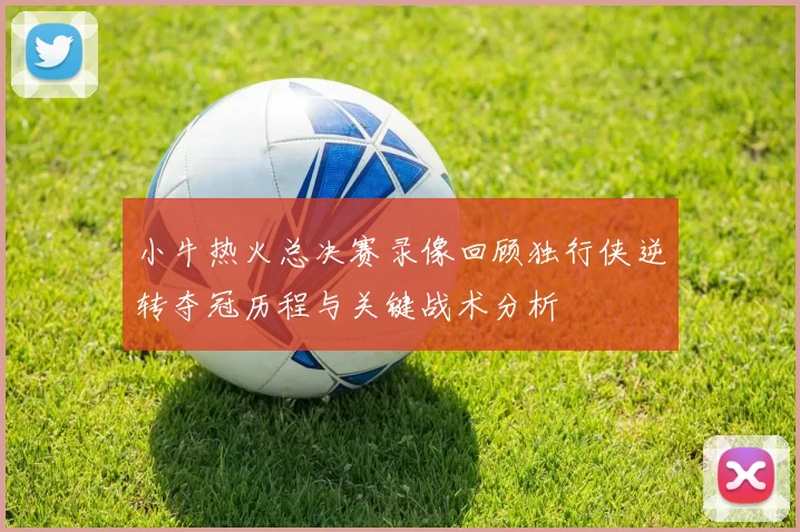 小牛热火总决赛录像回顾独行侠逆转夺冠历程与关键战术分析