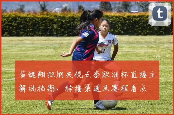 黄健翔担纲央视五套欧洲杯直播主解说档期、转播渠道及赛程看点