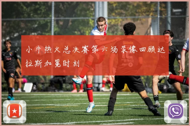 小牛热火总决赛第六场录像回顾达拉斯加冕时刻